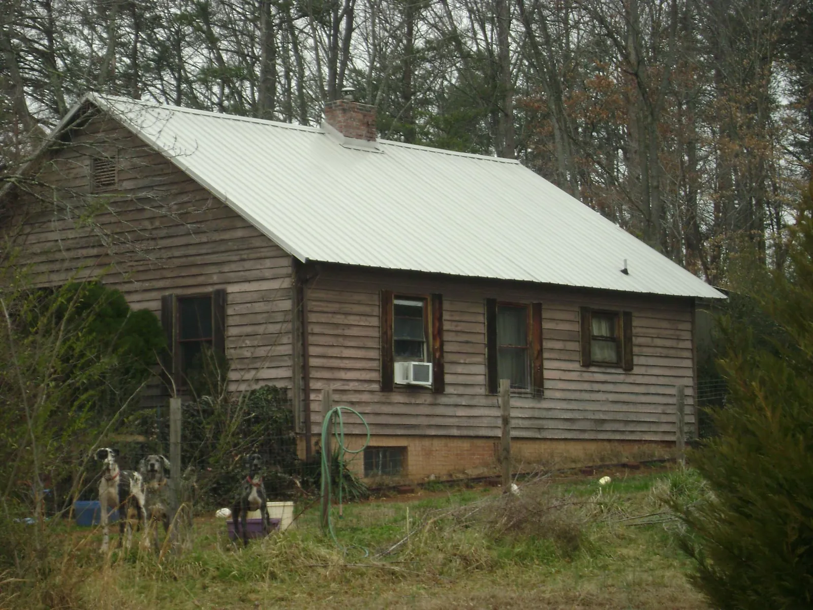 White metal roof on an old wood sided farmhouse, from a Metal Roof Installation job in Humptulips